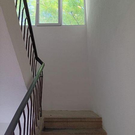 Apartman Sonja Hostel Dubrovnik Ngoại thất bức ảnh